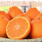 ふるさと納税 〈定期便〉【2・4・6・8・10・12月 全6回】和歌山産 旬のフルーツ お楽しみ 定期便 【魚鶴】◆|フルーツ フルーツ フルーツ 定.. 和歌山県美浜町