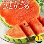 ふるさと納税 〈定期便〉【6・8・10・12月 全4回】和歌山産 旬のフルーツ お楽しみ 定期便 【魚鶴】◇｜フルーツ  和歌山県美浜町