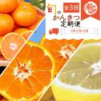 〈定期便〉 紀州和歌山産旬のフルーツセット
