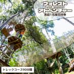 フォレストアドベンチャー 恵庭1名様招待券