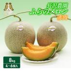 メロン 富良野産 赤肉 大玉ジャンボ 長沢農園