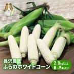 とうもろこし 富良野産 ホワイトコーン