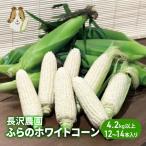 とうもろこし 富良野産 ホワイトコーン