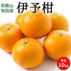 伊予柑 秀品 約10kg