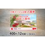 ふるさと納税 体験 北海道 芦別 大橋さくらんぼ園 入園券 金券 400円 12枚綴り 3年有効 さくらんぼ フルーツ狩り フルーツ 果物 季節のフルーツ .. 北海道芦別市