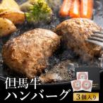 ビアドリット 但馬牛ハンバーグ 3個