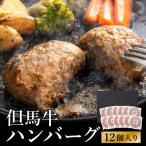 ビアドリット 但馬牛ハンバーグ 12個