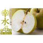 ふるさと納税 梨「幸水」約4kg(8〜10玉入)【松崎果樹園】 宮城県角田市