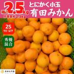 みかん 小玉 有田みかん 約2.3kg