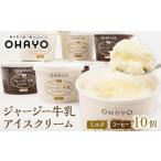 ふるさと納税 オハヨー乳業 ジャージー牛乳 アイスクリーム 120ml×10個（ミルク・コーヒー）ギフト  | アイスクリーム アイス アイス 岡山県岡山市