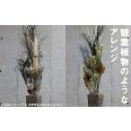 観葉植物のようなアレンジ 1個