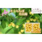 先行受付 さくらんぼ 月山錦 1kg