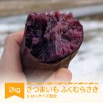 さつまいも ふくむらさき 約2kg