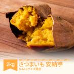 令和8年産 安納芋 約2kg