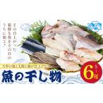 天草 魚 干し物 高橋商店
