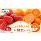 フルーツセット 紅ほっぺ 1パック