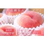 ふるさと納税 旬の桃 伊達市産 どれが届くかお楽しみ白桃 1kg(3〜5玉)2025年出荷分 先行予約 2025年7月上旬〜2025年9月中旬出荷 伊達の桃 桃 .. 福島県伊達市