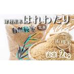 令和6年産 中泊産 こだわりの有機米 玄米 2kg
