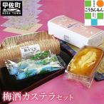 梅酒カステラセット カステラ もなか 最中