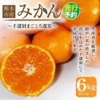 みかん 6kg
