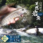 天然岩魚 イワナ 3尾