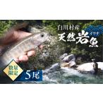 天然岩魚 イワナ 5尾