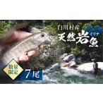 天然岩魚 イワナ 7尾