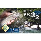 天然岩魚 イワナ 15尾