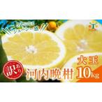 ふるさと納税 【訳あ�