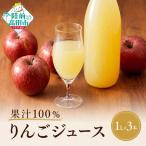 果汁100% ストレートりんごジュース 1L×3本セット