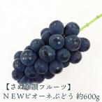 NEWピオーネぶどう 約600g