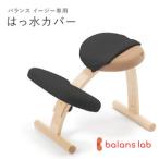 バランスイージー専用はっ水カバー ブラック