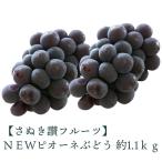 NEWピオーネぶどう 約1.1kg