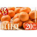 ふるさと納税 ＜先行予約受付中！2026年1月中旬以降順次発送予定＞訳あり紅甘夏(約20kg) 国産 鹿児島県 阿久根市 果実 果物 フルーツ 柑橘 .. 鹿児島県阿久根市