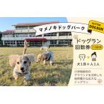 マメノキドッグパーク ドッグラン 回数券