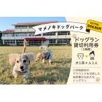 マメノキドッグパーク ドッグラン 利用券