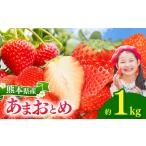 ふるさと納税 坂本いちご農園 あまおとめ 1kg | 果物 くだもの フルーツ いちご 苺 イチゴ あまおとめ 1キロ 熊本県 玉名市 熊本県玉名市