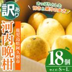 訳あり 河内晩柑 S~L 18個