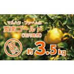 訳あり 河内晩柑 3.5kg