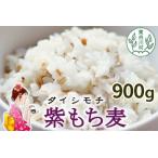 東 紫もち麦 ダイシモチ 900g