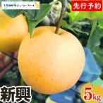 和梨 新興 約5kg