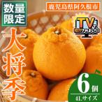大将季 6個