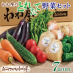ねね屋のとれたて野菜セット 7品目以上