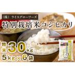 特別栽培米コシヒカリ 精米30kg