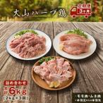 AS-19 大山ハーブ鶏詰め合わせ定期便