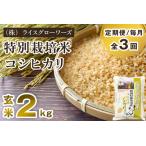 特別栽培米コシヒカリ 玄米2kg