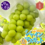 ぶどう マイハート 2026年発送 1房 500g以上