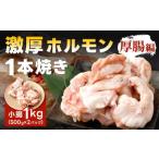 1本焼き 激厚 ホルモン 厚腸版 新鮮 塩ホルモン