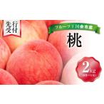 ふるさと納税 【先行予約：2026年8月中旬以降発送】フルーツ王国余市産「桃」 2kg【ニトリ観光果樹園】_Y074-0145 北海道余市町