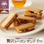 レーズンサンド 6個